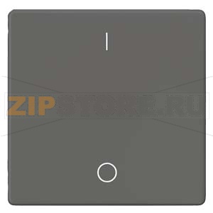 DELTA I-SYSTEM ЧЕРНЫЙ МЕТАЛЛИК ВЫКЛЮЧАТЕЛЬ 1 КЛАВИША С O/I СИМВОЛАМИ 55X55MM Siemens 5TG6222 