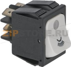 ДВУХПОЛЮСНЫЙ ПЕРЕКЛЮЧАТЕЛЬ, БЕЛЫЙ СВЕТОДИОД 