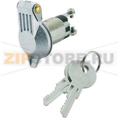 Выключатель с ключом 24 В/DC, 10 А, 1 x выкл/вкл, 1x90°, 1 шт TRU Components TC-K3-16B-06 