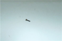 VITE A TESTA CILINDRICA M5x15