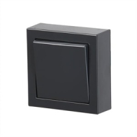 Переключатель, монтаж: накладной, антрацитовый ABB 2TKA00001602