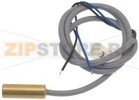 MICROINTERRUTTORE MAGNETICO RNO