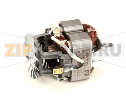 MOTOR BRUSH KIT (230V ONLY) 