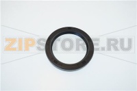 OIL SEAL