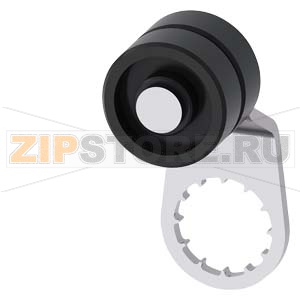 ПОВОРОТНЫЙ РЫЧАГ АКТУАТОРА ДЛЯ ПОЗИЦИОННОГО ВЫКЛЮЧАТЕЛЯ 3SE51, МЕТ. РЫЧАГ, 27MM, ШАГ 9MM, C ДВОЙНЫМ ПЛАСТИКОВЫМ РОЛИКОМ 19MM Siemens 3SE5000-0AA04 