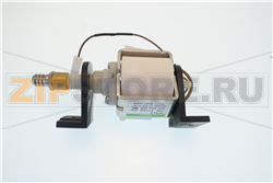 ASS.POMPA 230V 