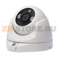 Видеокамера купольная, мини ABB 2TMA210160N0008