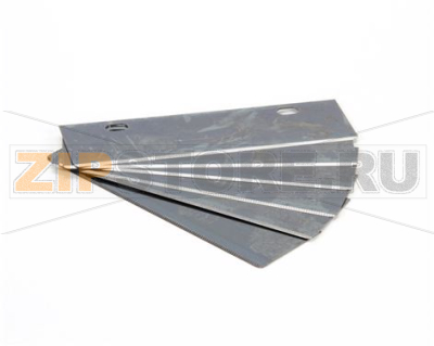 BLADES (PACK OF 6) 