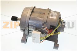 MOT.COL.TF P65DC ACC/SOLE 