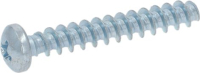Screw 3X20 Tcb Cros Ph