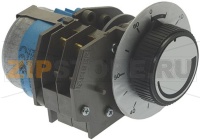 TIMER P20 230V 2 CAMS