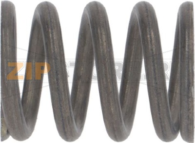PISTON SPRING 