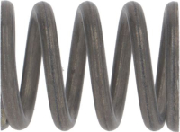 PISTON SPRING