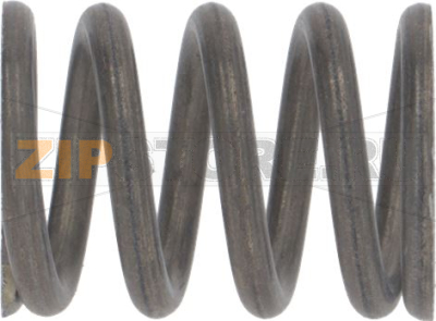 PISTON SPRING 