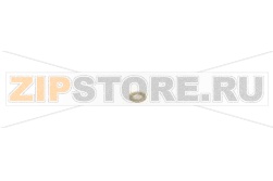 GASKET WASHER 
