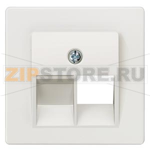 DELTA I-SYSTEM ТИТАНОВО-БЕЛЫЙ КРЫШКА СИСТЕМНОЙ РОЗЕТКИ CAT. 3 1X8-ПОЛЮС. 55X55MM Siemens 5TG1210 