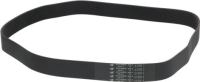 CINGHIA POLY V 1150J H33 13 GOLE