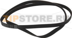 BELT HUTCHINSON 1232 J5 