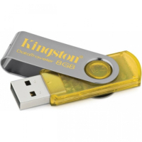 Накопитель USB 4 Гб Kingston DT101Y-4GB