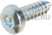 VIS D7981 ST 5,5X19-C-Z