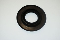 Seal radial lip