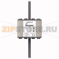 Предохранитель, 1100 A, AC 600 В, 200 кА, 2, 61x61x108 мм, aR, DIN, IEC Eaton FUSE 1100A 600V 2
