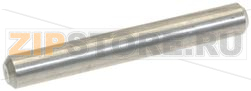 SPINA CILINDRICA INOX ø 6x45 mm 
