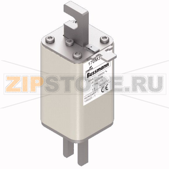 Предохранитель, 100 A, AC 1000 В, 150 кА, DIN 1, 43x61x138 мм, aR, DIN, IEC Eaton FUSE 100A 100 