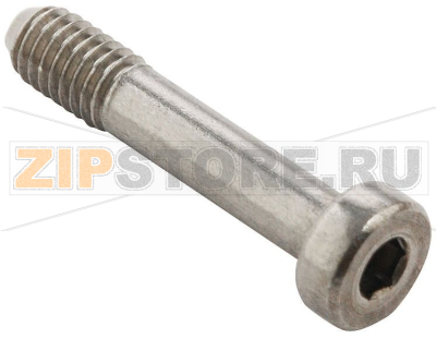 Винты крышки с внутренним шестигранником для A 195, P 330, P 333-336, P 339 Bopla IS 