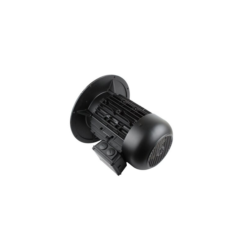 Электродвигатель 7.5/8 кВт, 2940/3540 об/мин Weishaupt WM-D132/170-2/7K5 