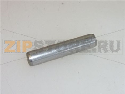 SPINA CILINDRICA ø 5x24 mm INOX 