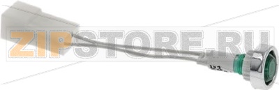 INDICATOR LIGHT GREEN 125/250V 