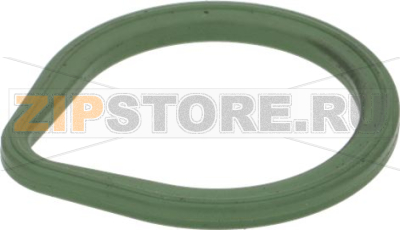 Gasket Electrovalve Base Plate Inox 