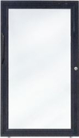 Tuer B 440mm H 770mm mit Rollen EP links