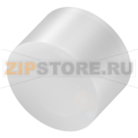 Крышка защитная и крышка портов Balluff BAM00C3