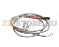 THERMOSTAT PROBE RTD3 36 CEL