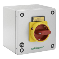 Выключатель-разъединитель 20 А, 1x90°, 1 шт Sälzer H216-41300-087M4