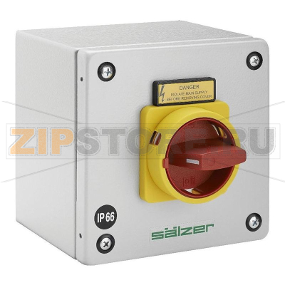 Выключатель-разъединитель 20 А, 1x90°, 1 шт Sälzer H216-41300-087M4 
