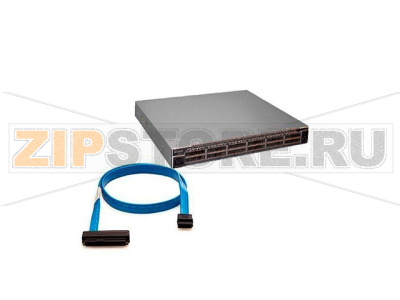 Коммутатор IBM 8250-017 