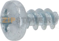 Screw 4X8