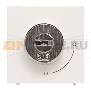 Механизм выключателя с ключом, двухмодульный, альпийский белый ABB 2CLA225320N1101 