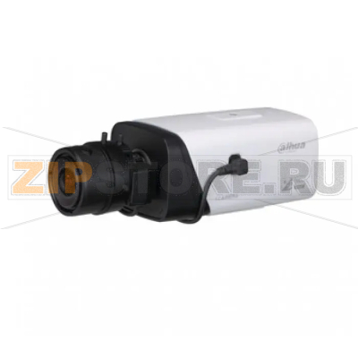IP-камера Dahua IPC-HF8301E 