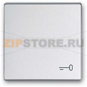 Клавиша выключателя c символом "Ключ", серебристый алюминий ABB 2CKA001751A3198 