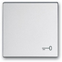 Клавиша выключателя c символом "Ключ", серебристый алюминий ABB 2CKA001751A3198