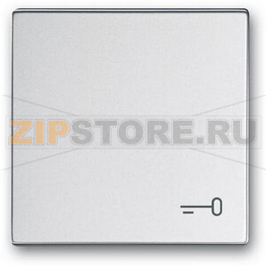 Клавиша выключателя c символом &quot;Ключ&quot;, серебристый алюминий ABB 2CKA001751A3198 