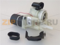 MOTORE MACINACAFFE' 120V