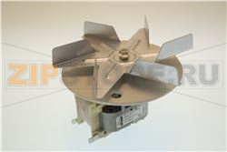 MOTORE; KIT 