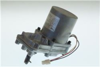 AUGER MOTOR ASSY, W/BRG 230V