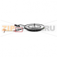 Adjustment ring pin M5 Mazzer Mini