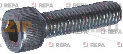 VITE A TESTA CILINDRICA M8x30 